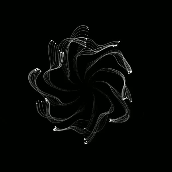 Random 12