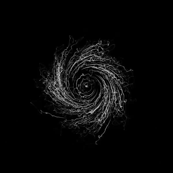 Random 17